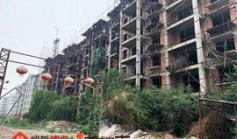 石家庄房子最新爆料,揭秘最新房价走势与热门项目曝光